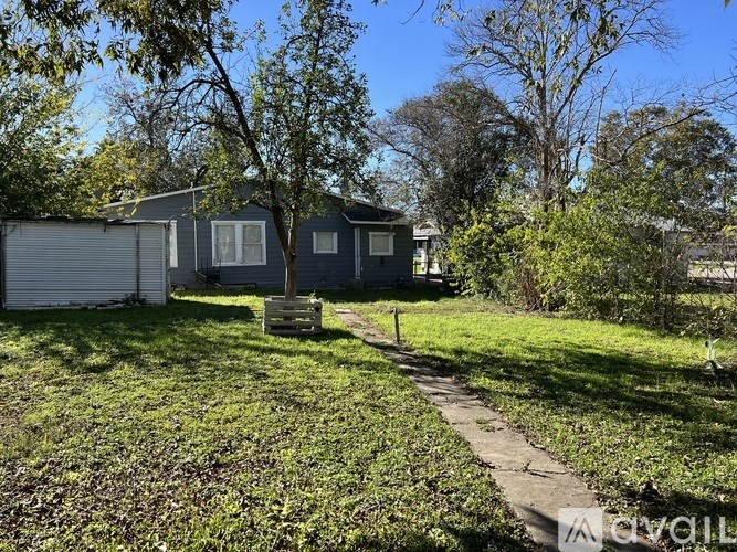 A backyard with a small tree and a wooden bench.