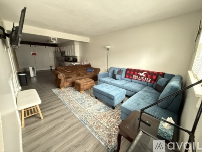 A living room with a sofa, a chair, and a rug.