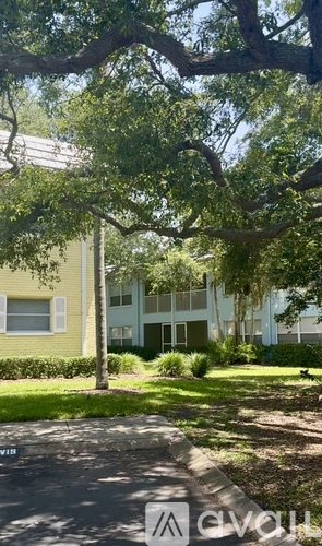 A tree with green leaves is in front of a building.
