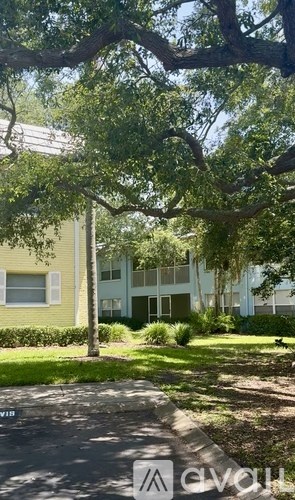 A tree with green leaves is in front of a building.