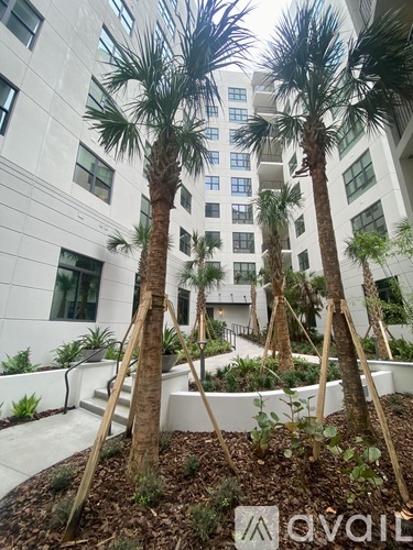 Palm trees in front of a white building.