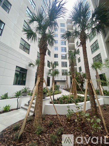 Palm trees in front of a white building.