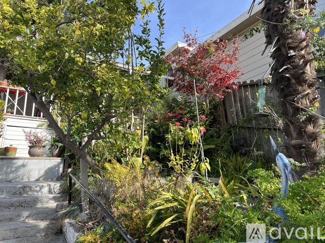 A garden with a variety of plants and trees.