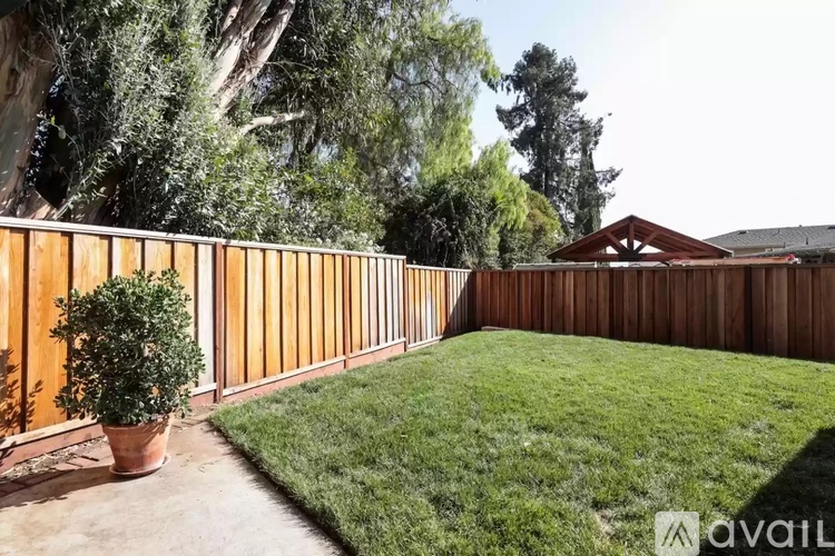 A backyard with a wooden fence and a green lawn.