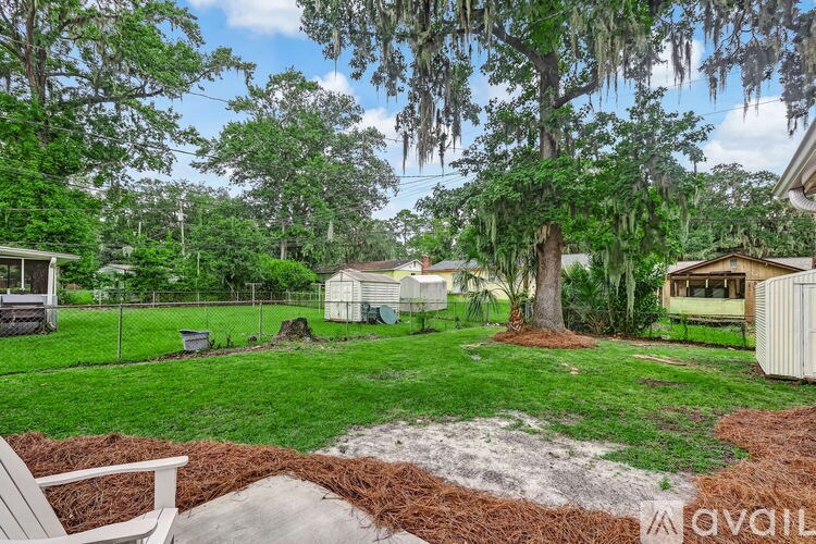 A backyard with a white chair and a tree with hanging moss.