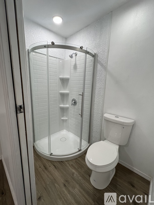 A white toilet sits next to a walk-in shower.