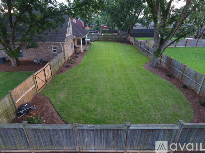 A backyard with a wooden fence and a green lawn.