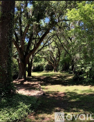 A dog is sitting on the grass in the shade of a tree.