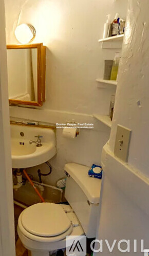 A small white toilet is in a small bathroom.
