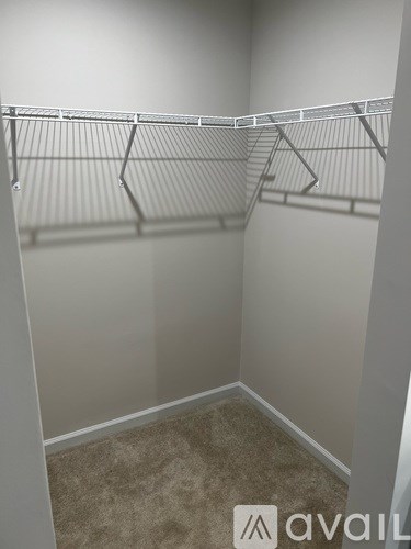 Empty walk-in closet with shelving and carpeted floor.