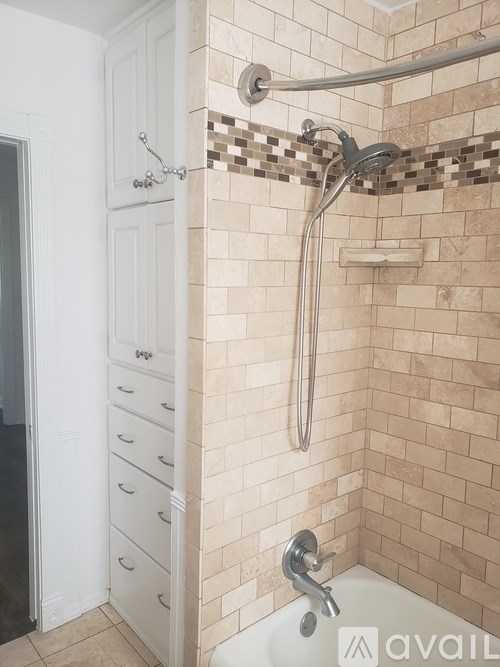A bathroom with a shower and a white door.