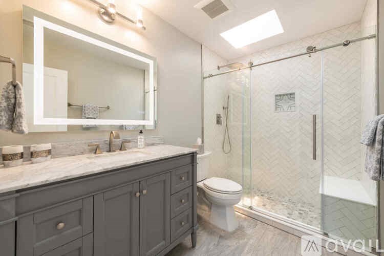 A bathroom with a walk-in shower and a toilet.