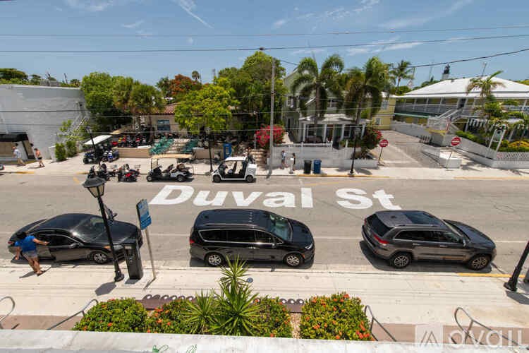 A street view of Duval St with cars and palm trees.