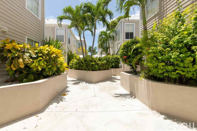 A sunny day in a courtyard with plants and trees.