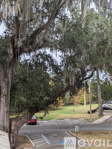 A tree with hanging vines in front of a building.