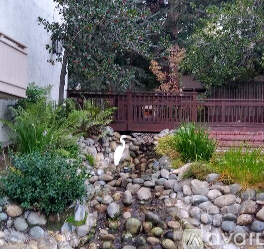 A white bird is standing on a rock in a garden.