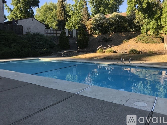 A swimming pool surrounded by a concrete patio and a hillside with trees.