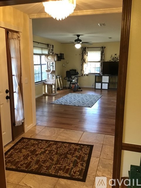 A living room with a rug on the floor and a ceiling fan.