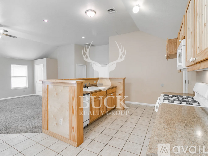 A kitchen area with a countertop and cabinets is shown.