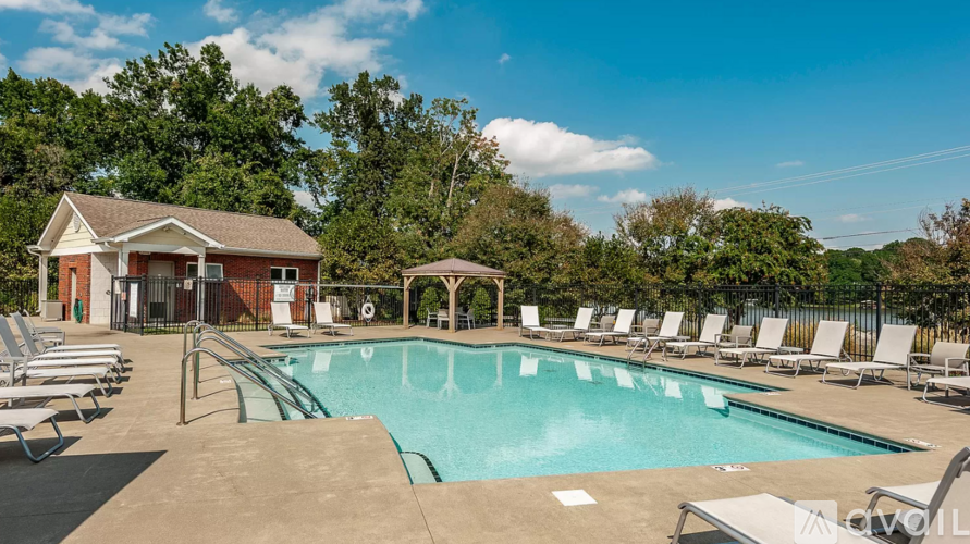 A large outdoor swimming pool surrounded by sun loungers and trees.