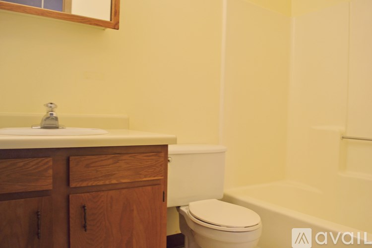 A bathroom with a toilet, sink, and mirror.