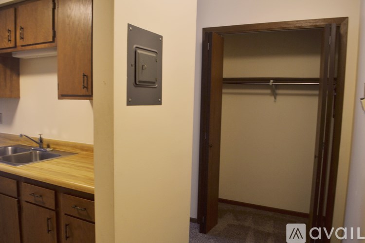 A kitchen with a sink and wooden cabinets.