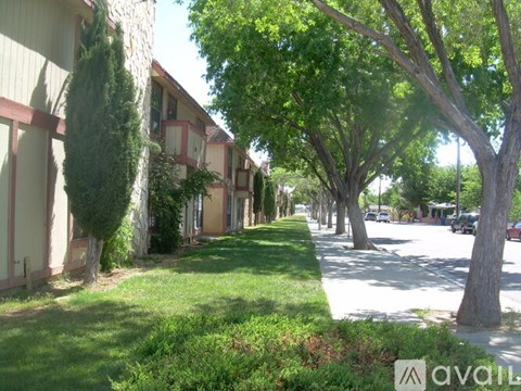 A tree-lined street with apartment buildings on the side.