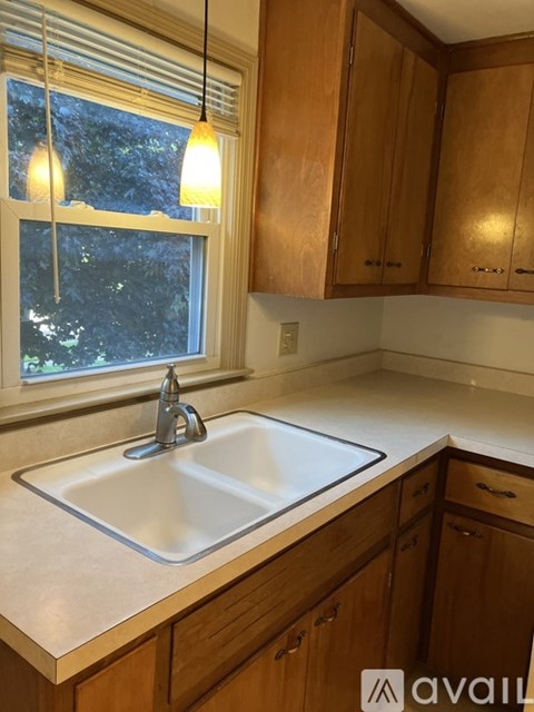 A kitchen with a sink and wooden cabinets.