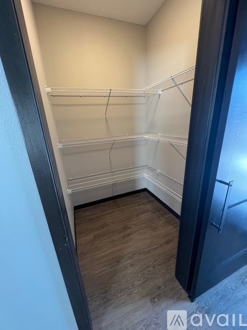 Empty walk-in closet with shelves and a wooden floor.