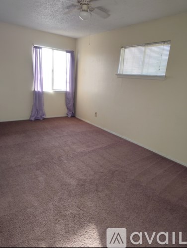 A room with a carpeted floor and a ceiling fan.
