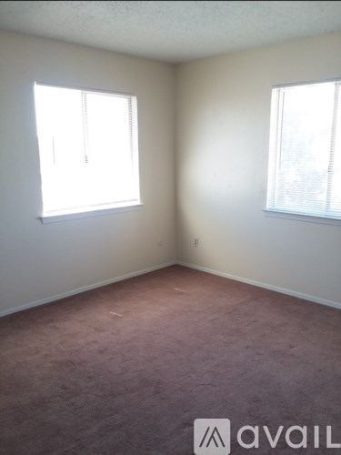A room with two windows and carpeted floor.