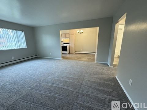 A carpeted room with a kitchenette in the background.