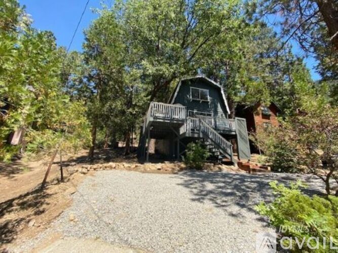 A house with a porch surrounded by trees and a gravel driveway.
