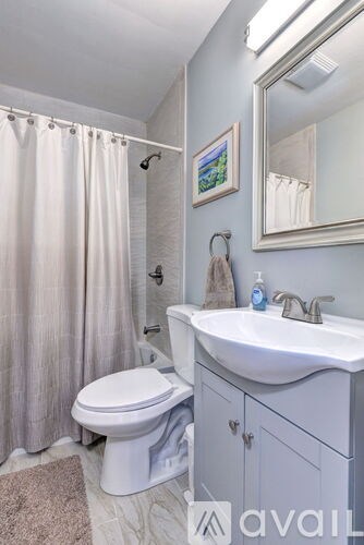 A bathroom with a toilet, sink, and shower curtain.