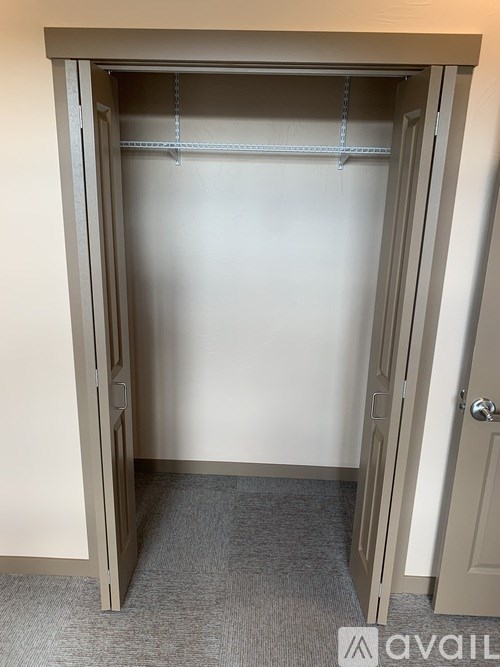 A white closet with a door open and a grey carpet on the floor.