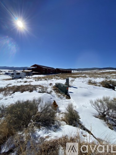 A dog is standing in the snow in front of a building.