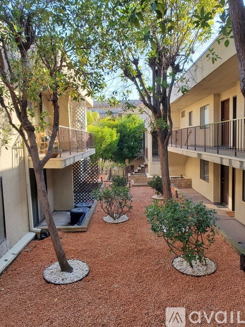 A courtyard with trees and bushes surrounded by buildings.