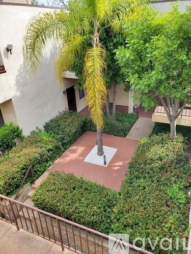 A small courtyard with a palm tree and bushes.