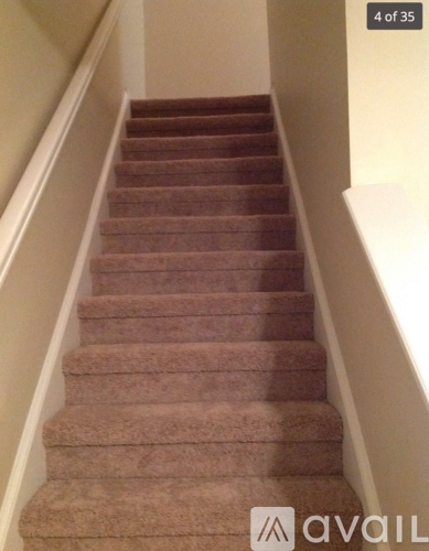 A brown carpeted staircase with white walls.