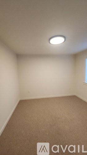 A room with a carpeted floor and a ceiling light.