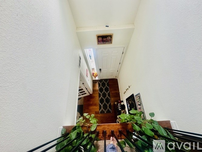 A hallway with a staircase and a plant on the railing.