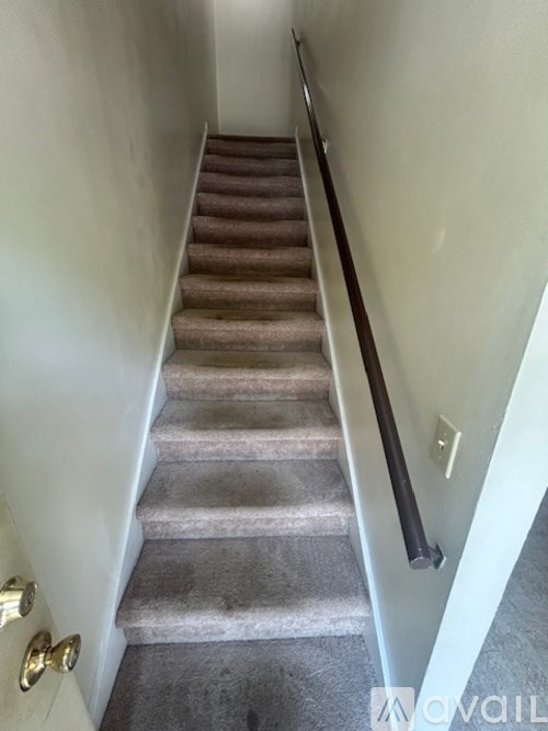 A staircase with a carpeted runner and a black handrail.