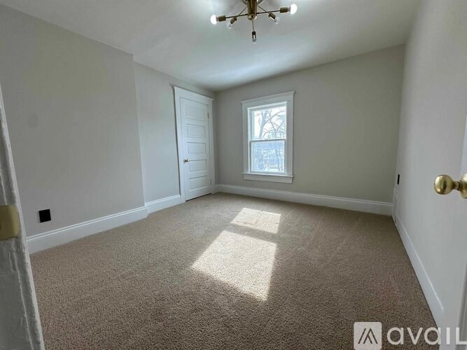 A room with a carpeted floor, a ceiling fan, and a window with a view of trees outside.