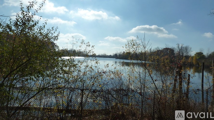 A serene lake surrounded by trees and a clear sky.