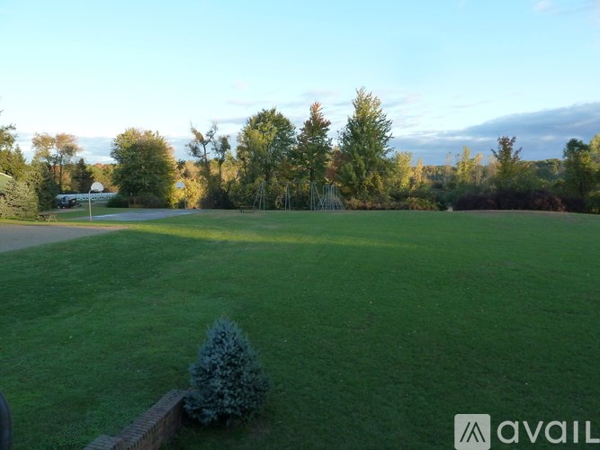 A grassy field with trees in the background and a small tree in the foreground.
