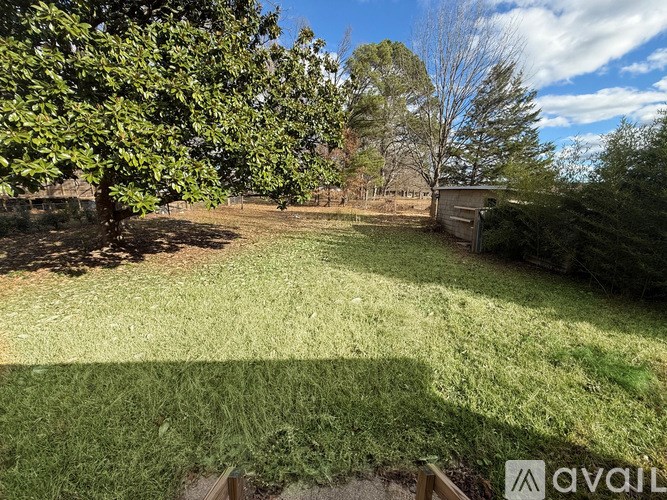 A grassy backyard with trees and a shed.