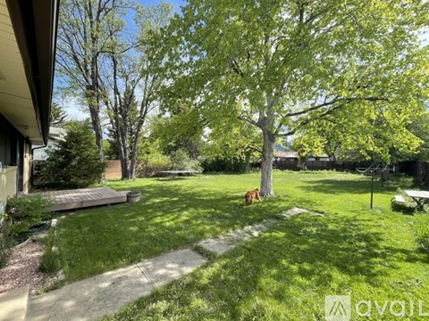 A dog is sitting under a tree in a grassy yard.