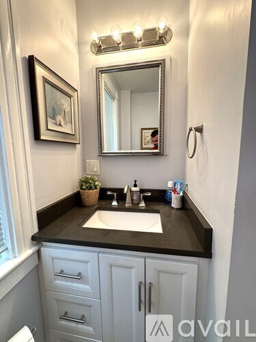 A bathroom with a sink, mirror, and a potted plant.