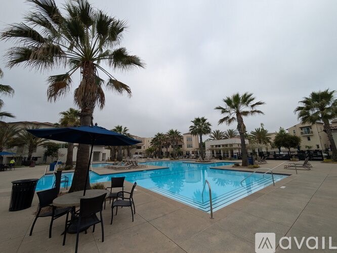 A pool area with chairs and a palm tree.