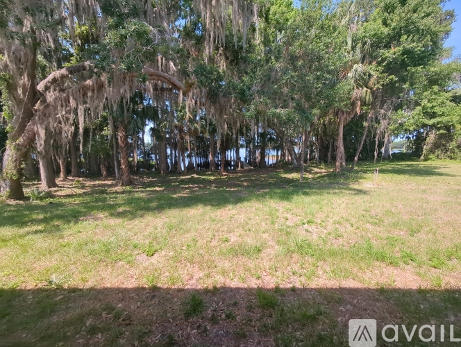 A grassy field with trees and hanging moss.